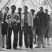 Pleasure - List pictures