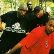 Screwball - List pictures