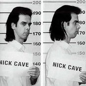 Nick Cave - List pictures