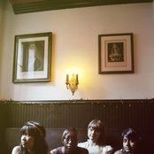 Heliotropes - List pictures