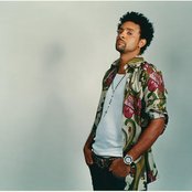 Shaggy - List pictures