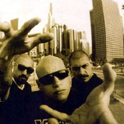 Psycho Realm - List pictures