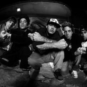 Charlie Brown Jr - List pictures