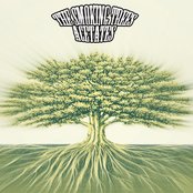 The Smoking Trees - List pictures