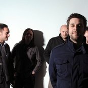 Quassar - List pictures