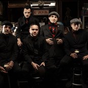 Street Dogs - List pictures