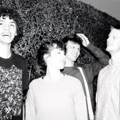 Emily And The Woods - List pictures