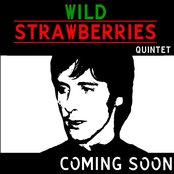 Wild Strawberries - List pictures
