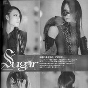 Sugar - List pictures