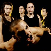 Breed 77 - List pictures