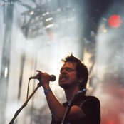 Vintersorg - List pictures