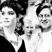 Field Mice - List pictures