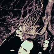 Nile - List pictures