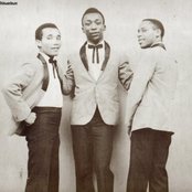 The Gaylads - List pictures