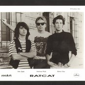 Ratcat - List pictures