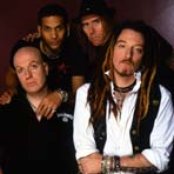 Wildhearts - List pictures
