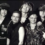 Accept - List pictures