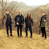 Spidergawd - List pictures