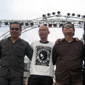 Padi - List pictures