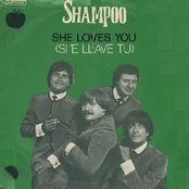 Shampoo - List pictures