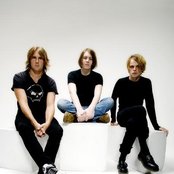 Vines - List pictures