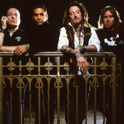 Wildhearts - List pictures