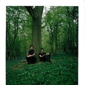 Gypsy And The Cat - List pictures