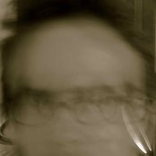 Calippo - List pictures