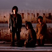 Does - List pictures