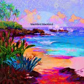 Blackbird Blackbird - List pictures
