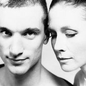 Lamb - List pictures