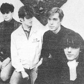 The Servants - List pictures