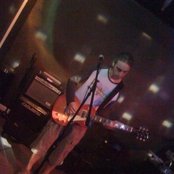 The Amber Herd - List pictures