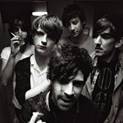 Foals - List pictures