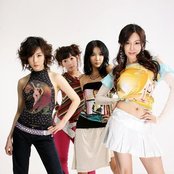 Lady - List pictures