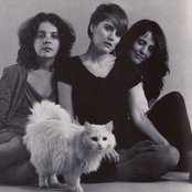 The Roches - List pictures