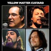 Yellow Matter Custard - List pictures