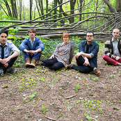 Freelance Whales - List pictures