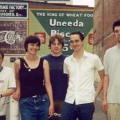 Speedwell - List pictures