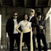 The Vincent Black Shadow - List pictures
