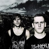 50 Lions - List pictures