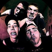 Shredhead - List pictures