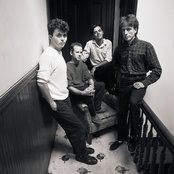 The Bongos - List pictures