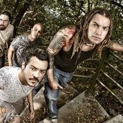 Genitallica - List pictures