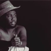 Little Beaver - List pictures