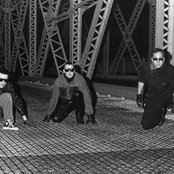 Front 242 - List pictures