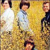 Seeds - List pictures