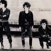 Skinny Puppy - List pictures