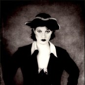 Amanda Palmer - List pictures