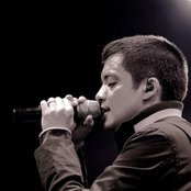 Bamboo - List pictures